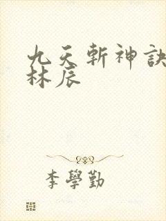 九天斩神诀小说林辰封面