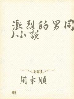 激烈的男同(h)小说