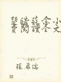 楚皓苏念小说免费阅读全文最新