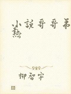 小说哥哥弟弟亲热