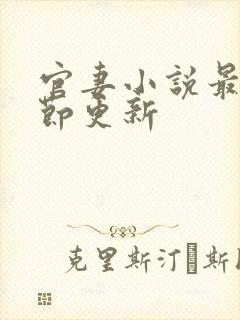 官妻小说最新章节更新