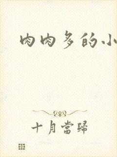 肉肉多的小说文