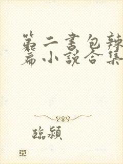 第二书包辣网短篇小说合集