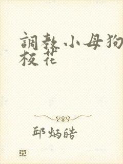 调教小母狗辣文校花封面