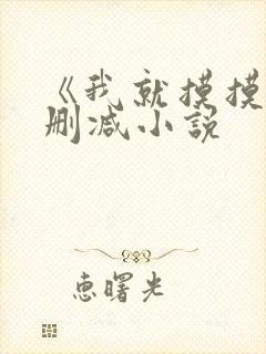 《我就摸摸》无删减小说