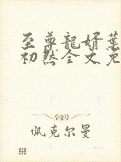 至尊龙婿叶辰萧初然全文免费无弹窗1525章