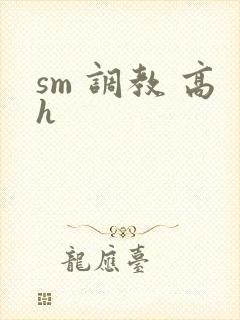 sm 调教 高h