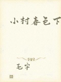 小村春色下载