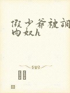 假少爷被调教成肉奴h