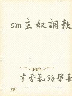 sm主奴调教h