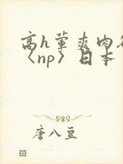 高h荤爽肉欲文〈np〉日本封面