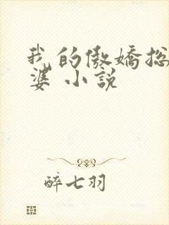 我的傲娇总裁老婆 小说