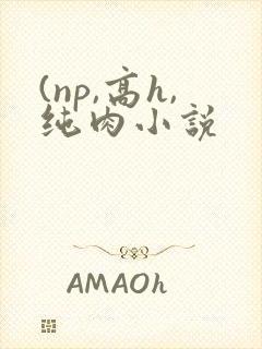 (np,高h,纯肉小说