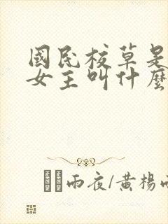 国民校草是女生女主叫什么