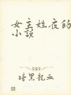 女主姓夜的现代小说封面