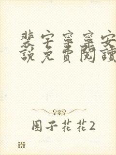 裴宇宁宁安晴小说免费阅读最新章节