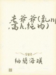 老爷爷(乱np,高h,纯肉)封面