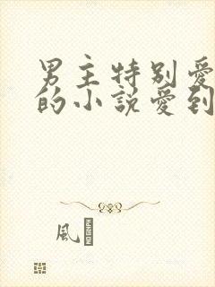 男主特别爱女主的小说爱到骨子里