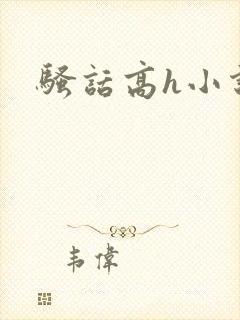 骚话高h小说封面