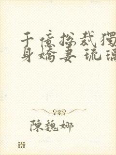 千亿总裁独宠替身娇妻 琉璃雪雪封面