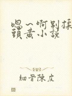 嗯～啊别揉我奶头黄小说