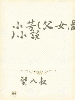 小芳(父女,乱)小说