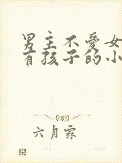 男主不爱女主却有孩子的小说