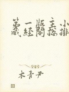 第一版主小说网藏经阁总排行封面