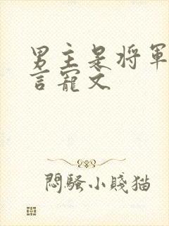 男主是将军的古言宠文