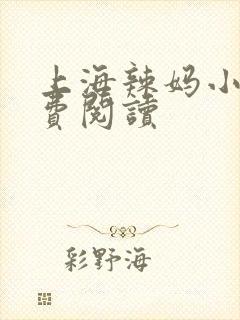 上海辣妈小说免费阅读