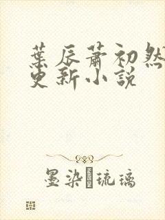 叶辰萧初然最快更新小说