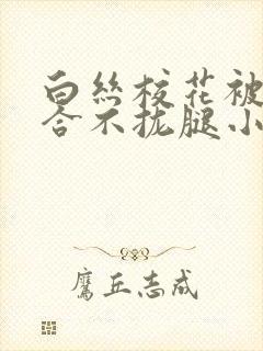 白丝校花被c得合不拢腿小说