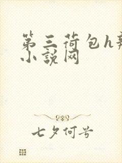 第三荷包h辣文小说网封面