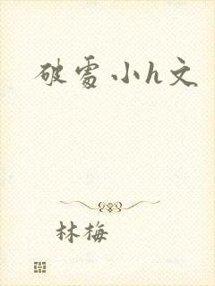 破处小h文