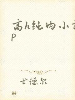 高h纯肉小说np