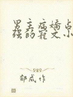 男主病娇占有欲强的宠文小说推荐