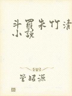 斗罗朱竹清同人小说
