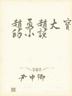 赵勇赵大宝苏媚的小说封面