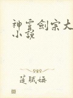 神霄剑宗大师兄小说