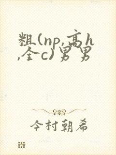 粗(np,高h,全c)男男