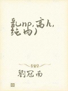 乱np,高h,纯肉)