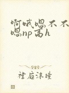 啊哦嗯不不要哦嗯np高h