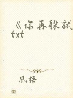 《你再躲试试》txt