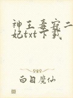 神王毒宠二嫁王妃txt下载