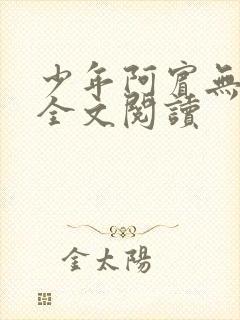 少年阿宾无删减全文阅读
