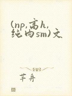 (np,高h,纯肉sm)文