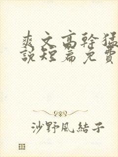 爽文高干猛文小说短篇免费阅读封面