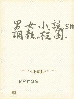 男女小说,sm调教,校园.封面