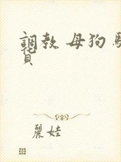 调教 母狗 骚货