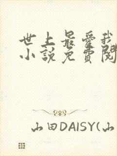 世上最爱我的人小说免费阅读